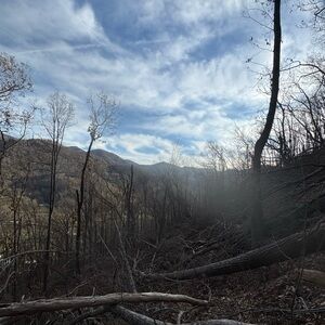 Meet your Posher, Jayden